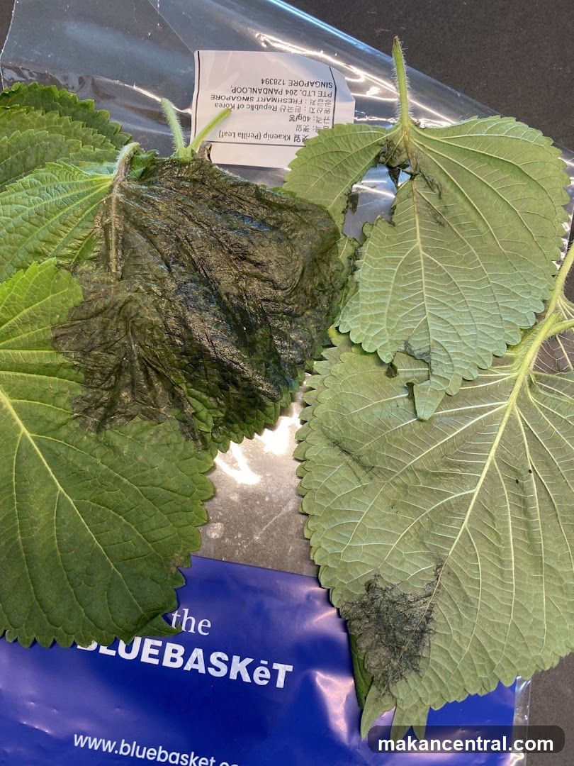Perilla Leaves