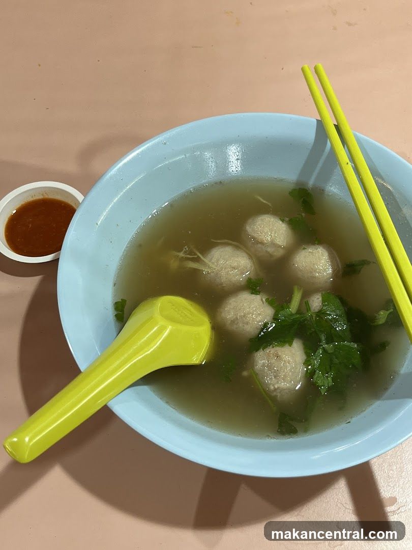 Bowl of Meatball Soup