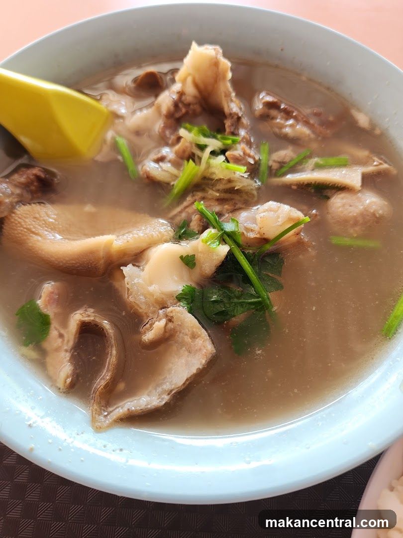Beef Soup