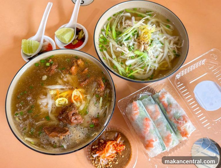 Vietnamese Noodle Soup and Spring Rolls