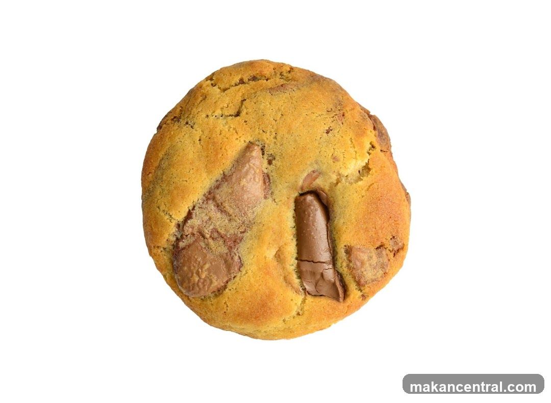 Chocolate Chip Cookie