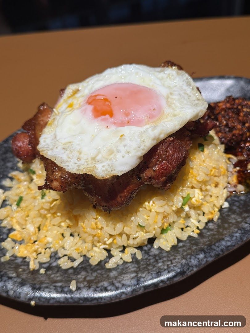 Fried Rice with Meat and Egg