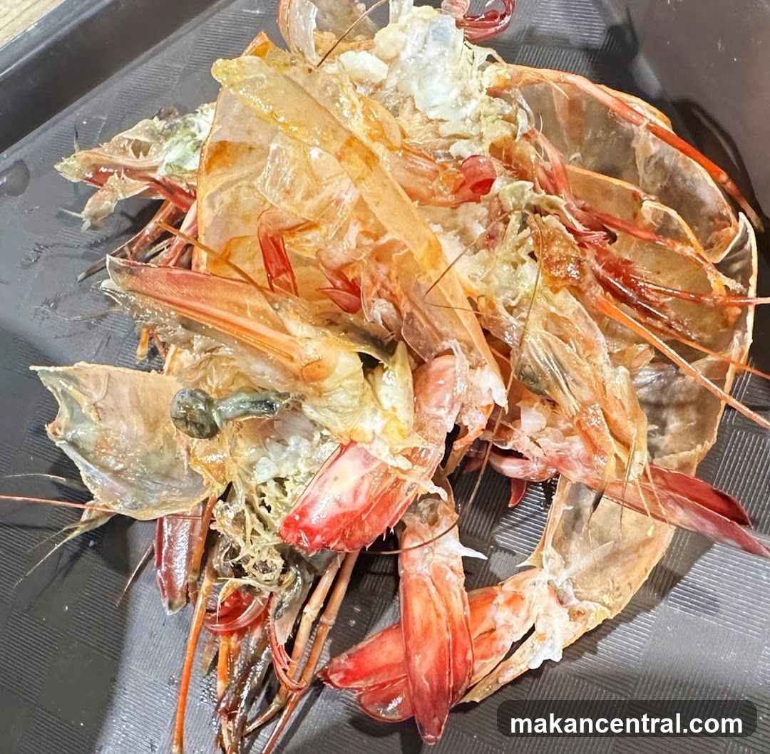 Shrimp Shells