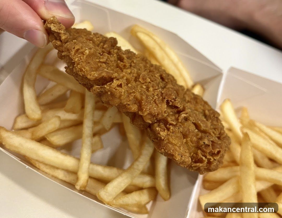 Fried Chicken Tender and Fries