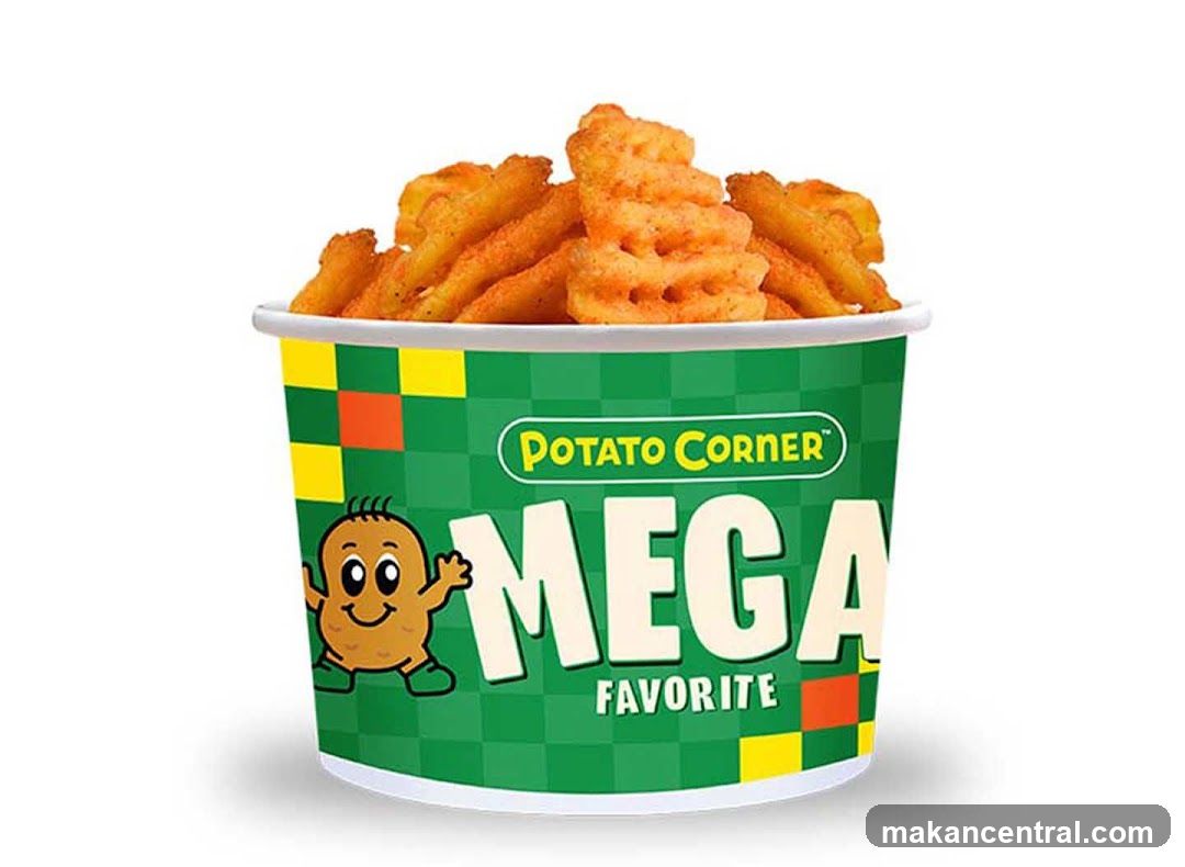 Potato Corner Mega Favorite Fries