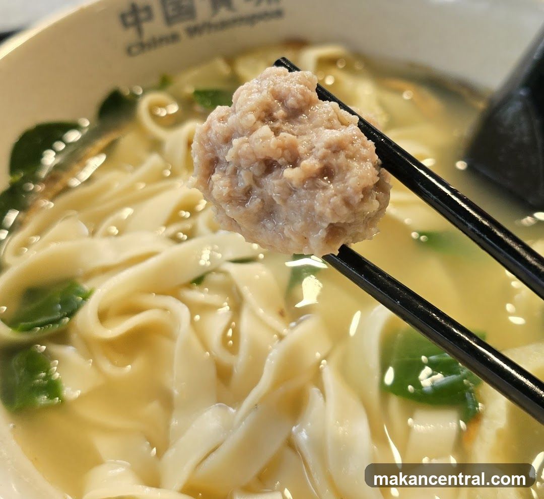Meatball and Noodles