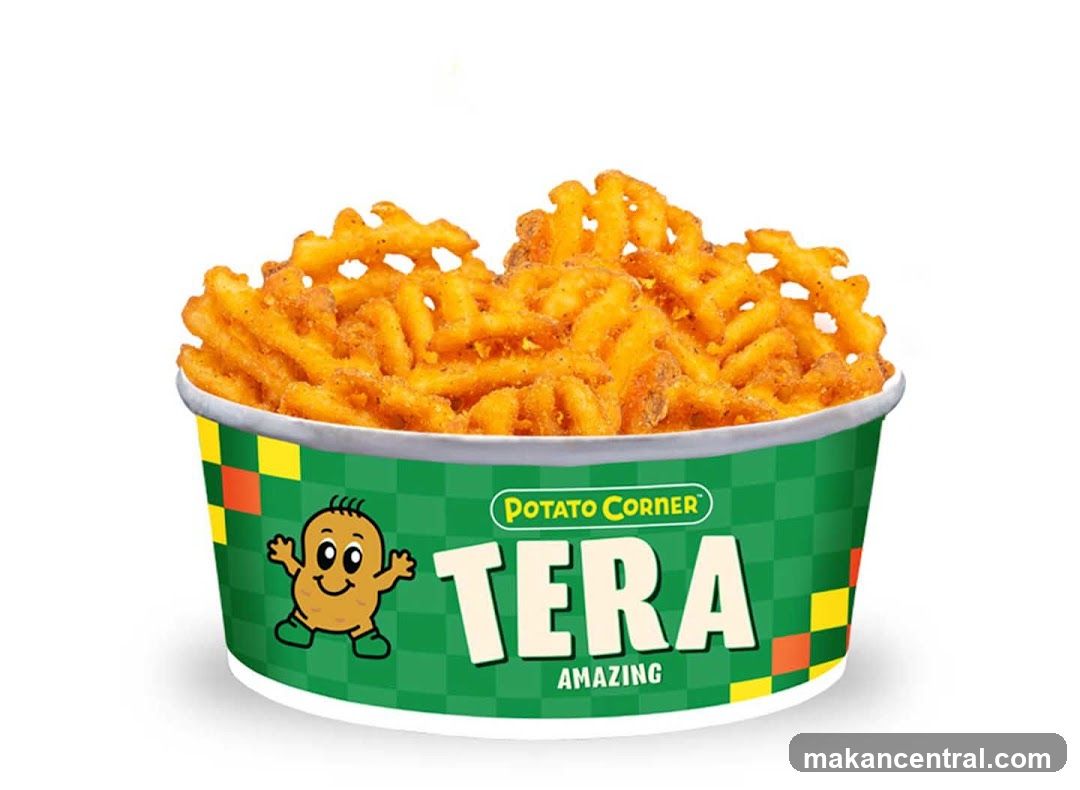 Potato Corner Tera Fries
