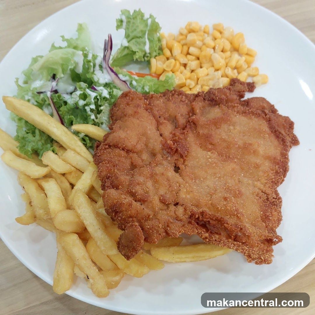Fried Chicken with Fries and Salad