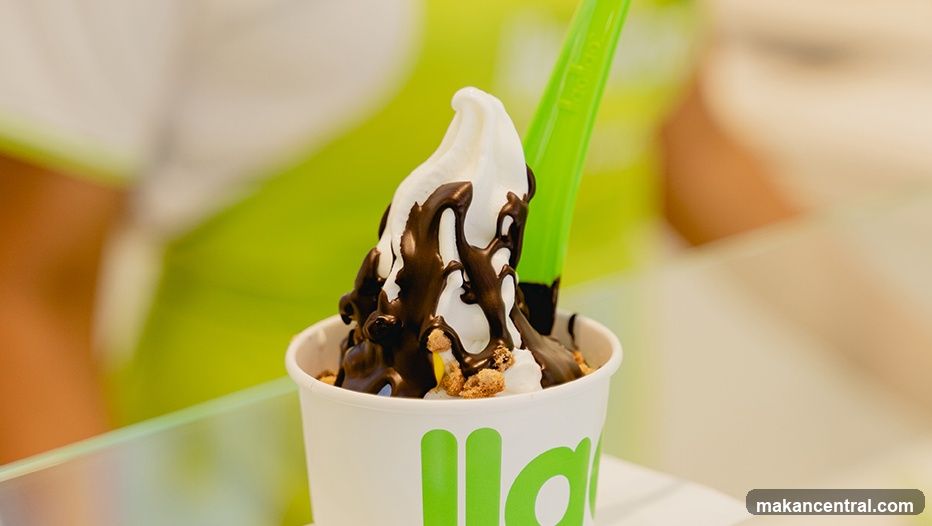 Frozen Yogurt with Chocolate Drizzle