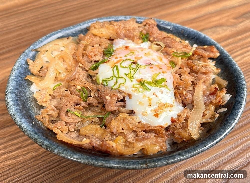 Beef and Egg Rice Bowl