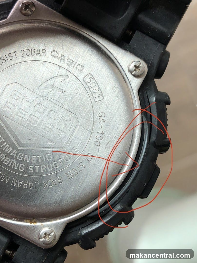 Watch Back