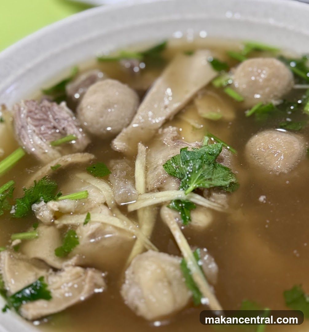 Beef Soup