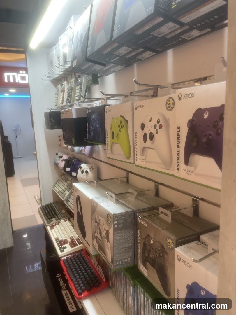 Video Game Accessories