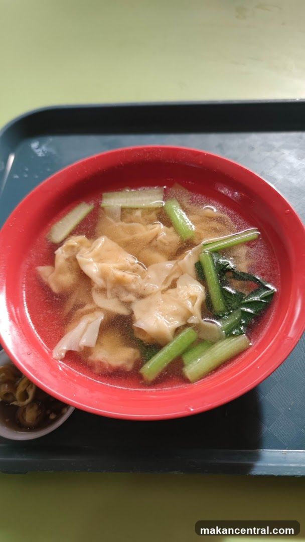 Wonton Soup