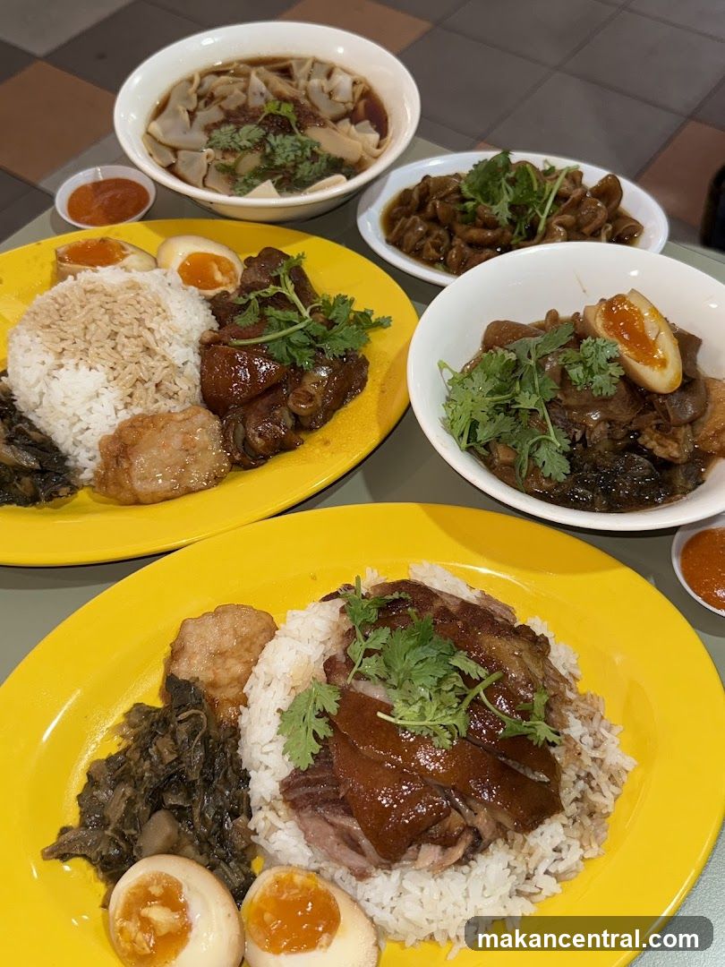 Braised Pork Rice and Dumplings