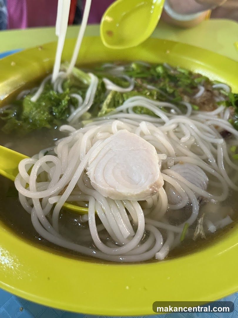 Noodle Soup