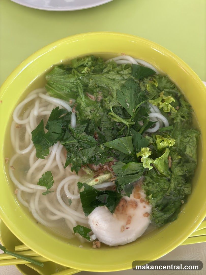 Noodle Soup