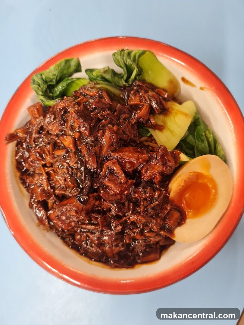 Braised Pork Noodles