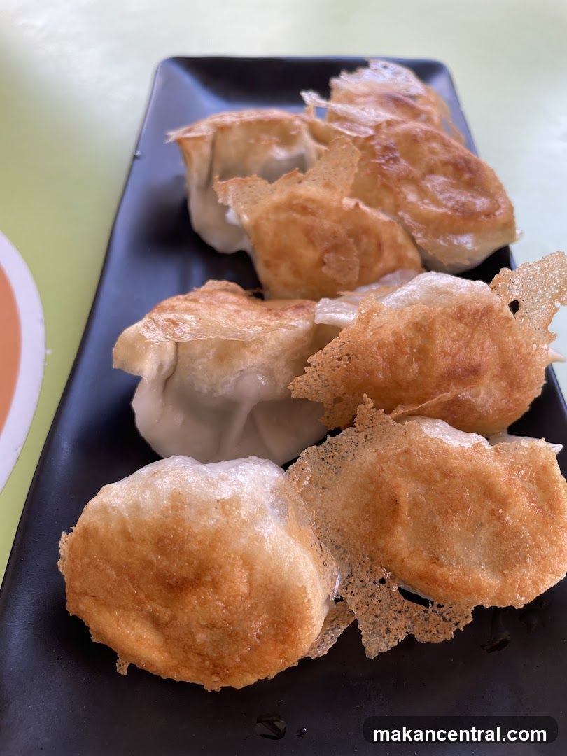 Pan-fried dumplings
