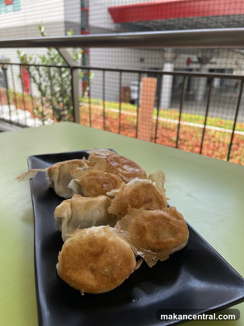 Pan-fried dumplings