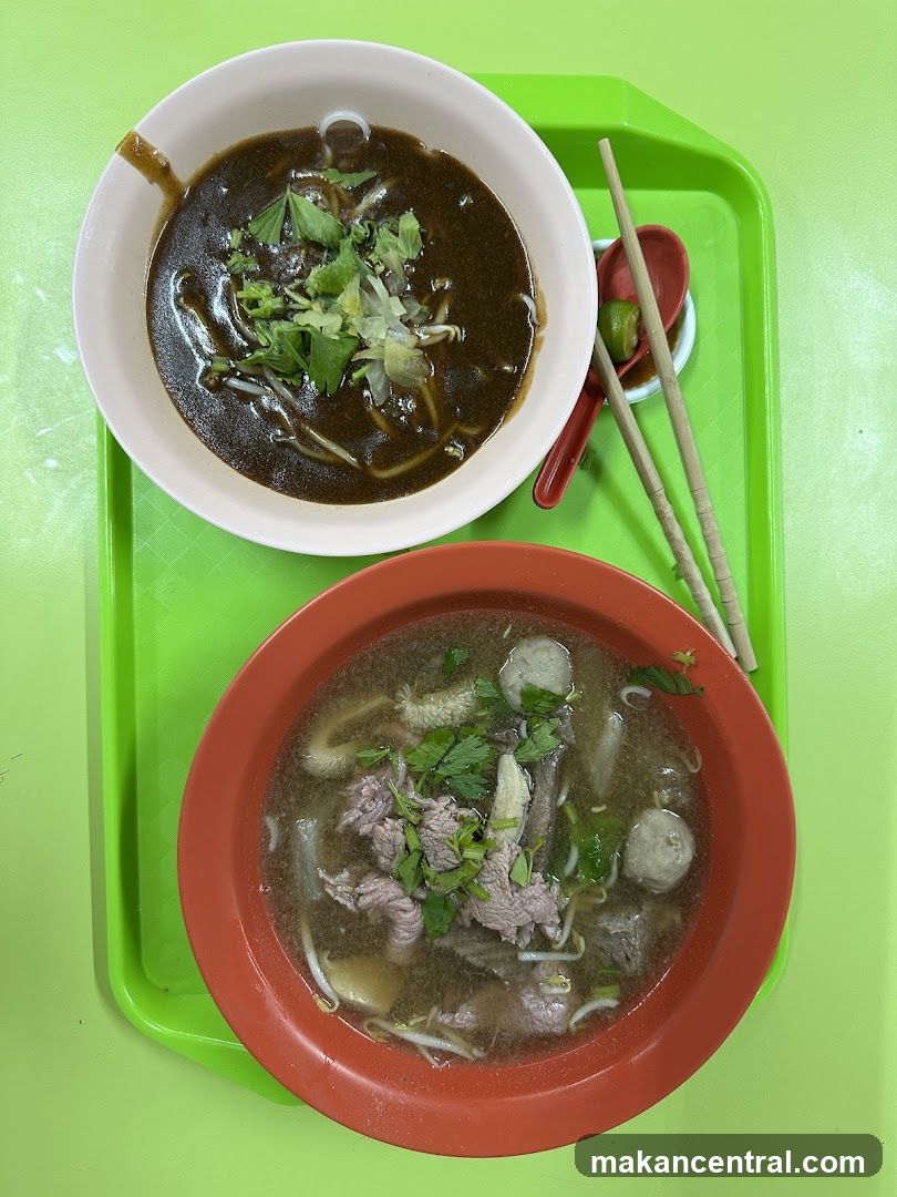 Two bowls of noodle soup