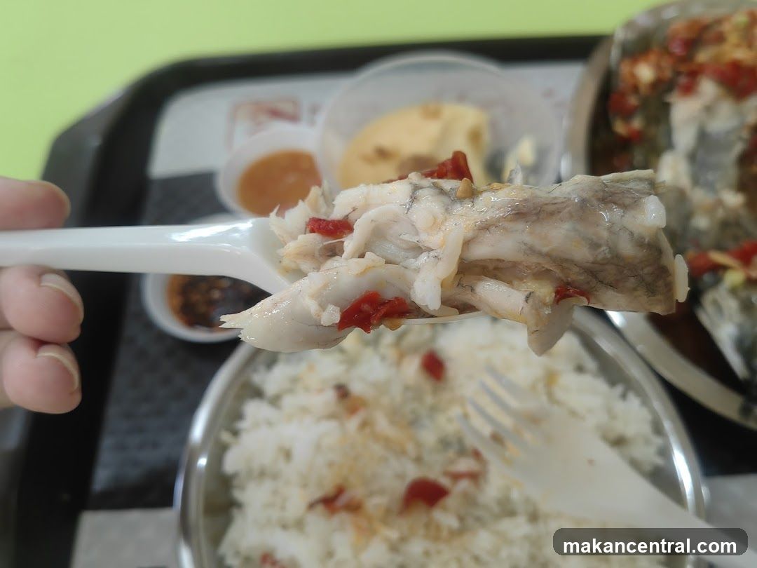 Steamed Fish with Rice