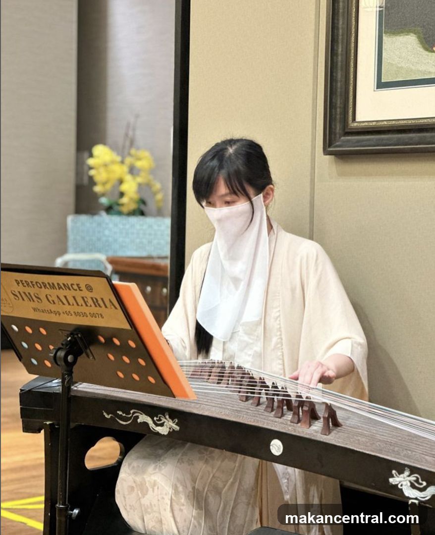 Guzheng Performance