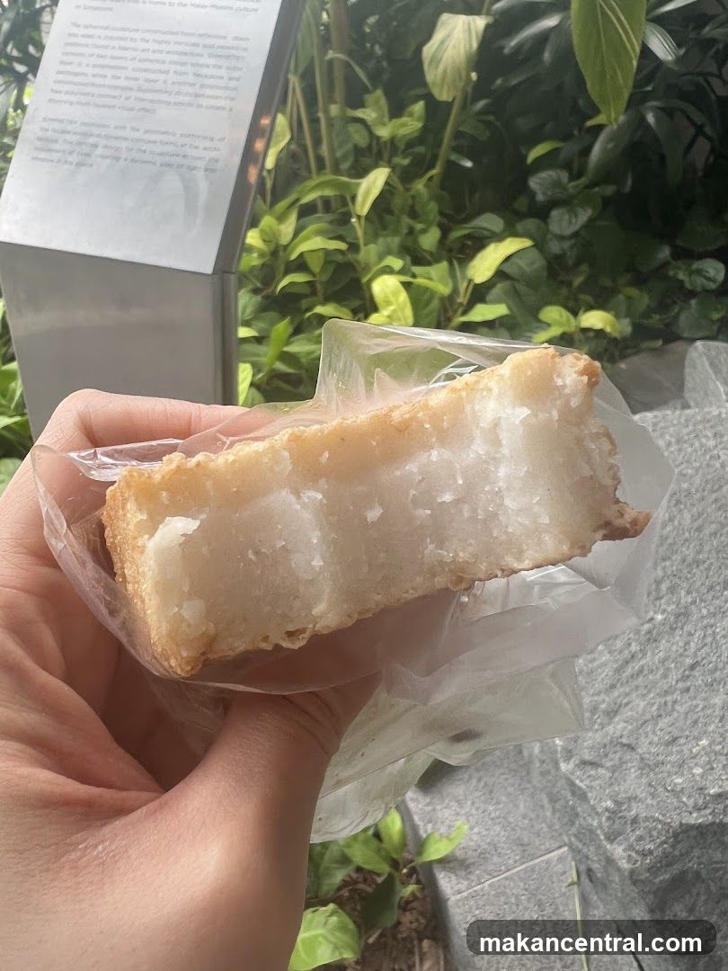 Dessert in plastic wrap