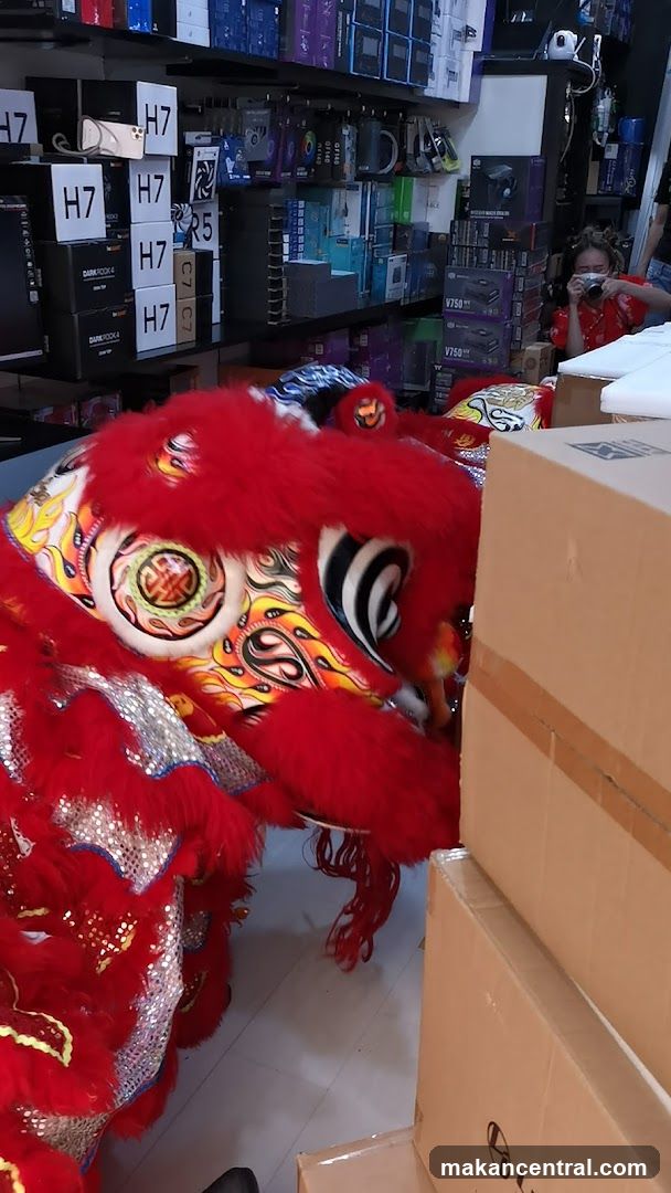 Lion Dance Costume in Electronics Store