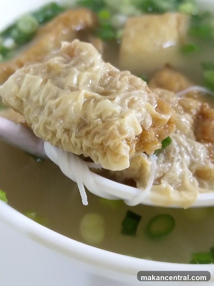 Close-up of a Spoonful of Noodle Soup