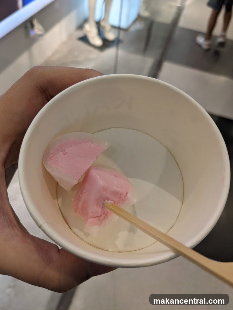 Ice Cream Mochi