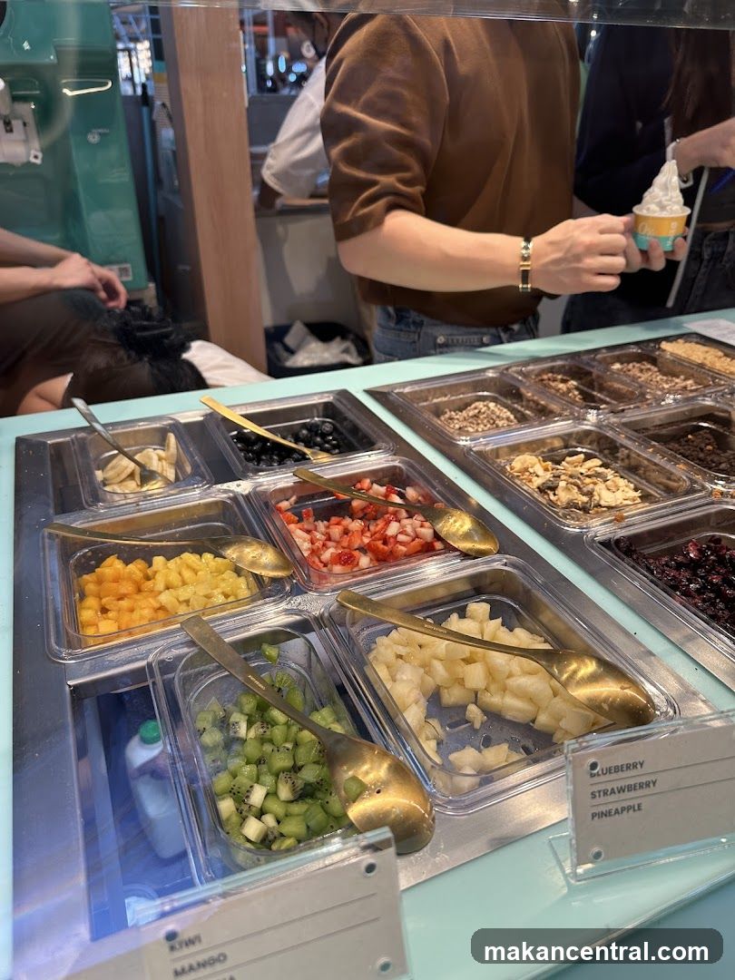 Frozen Yogurt Toppings Bar