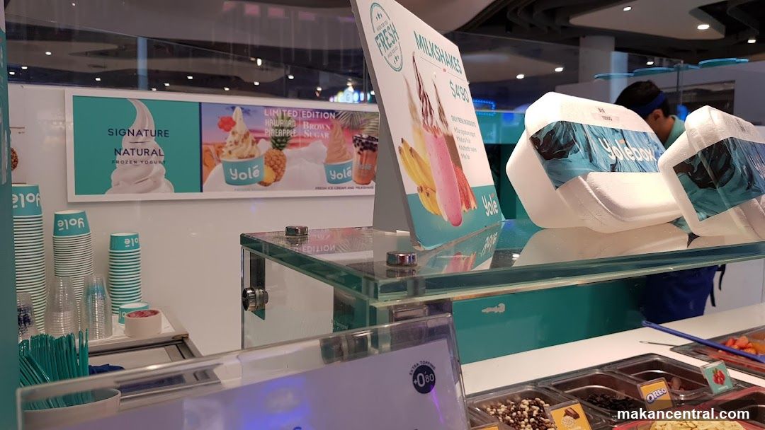 Frozen Yogurt Shop Counter