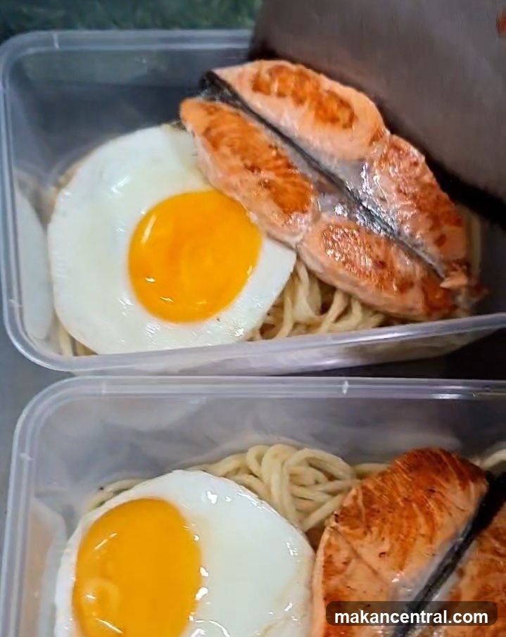 Salmon and Noodles Meal