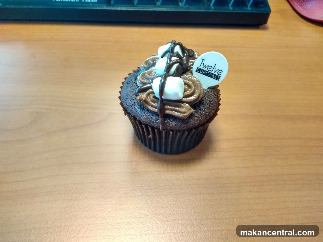Chocolate cupcake with marshmallows and chocolate drizzle