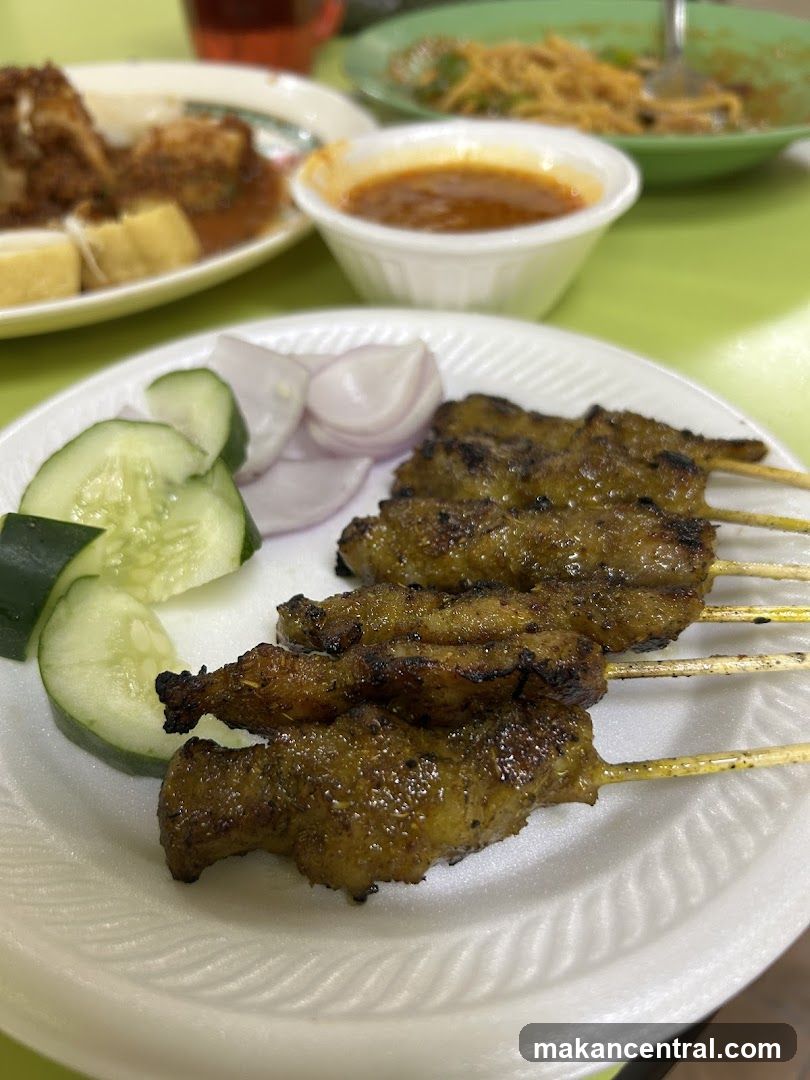 Chicken Satay with Cucumber and Onion