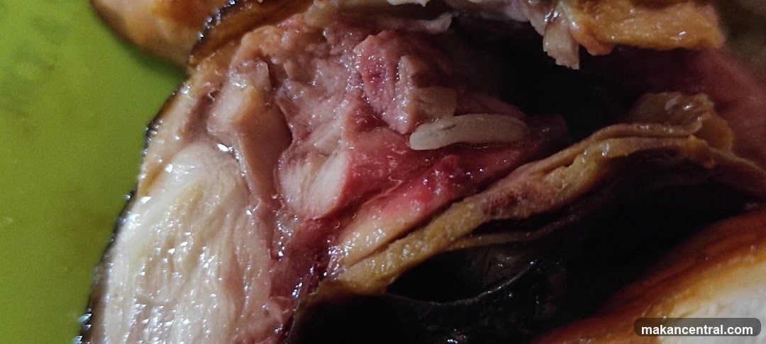 Close-up of cooked meat with visible maggots