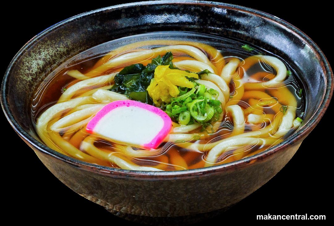 Udon Noodle Soup