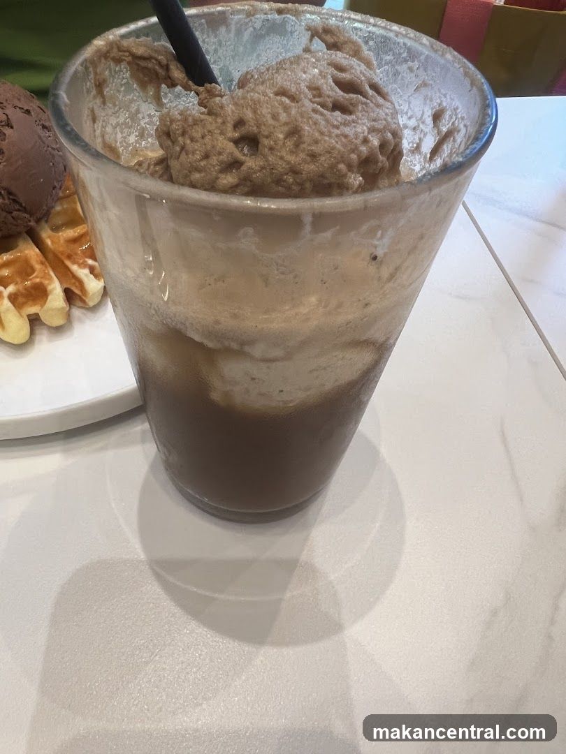 Chocolate Ice Cream Float with Waffles