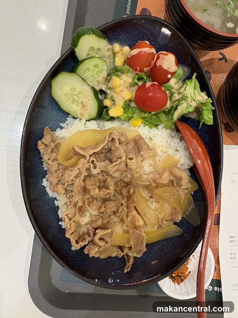 Beef Bowl with Salad