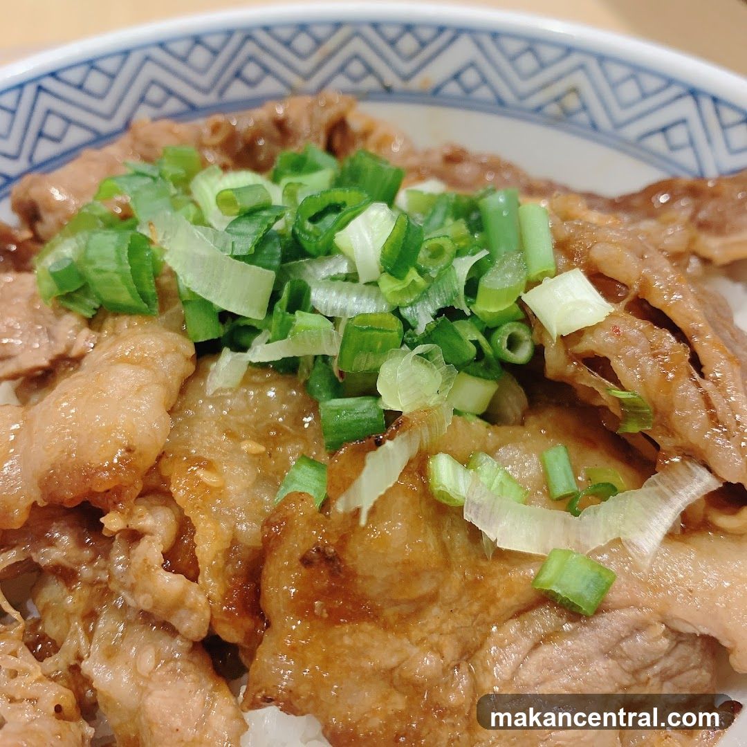 Beef Bowl with Scallions