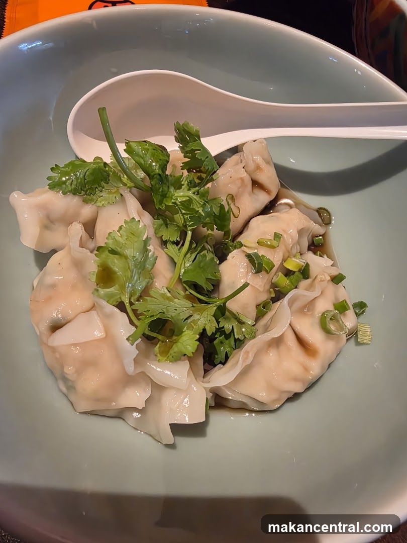 Dumplings in Broth