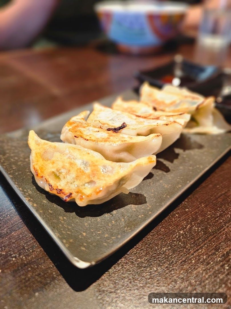 Pan-fried dumplings
