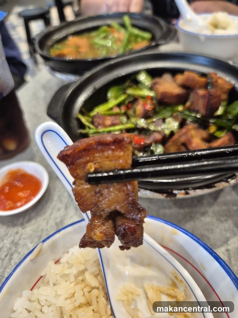 Braised Pork Belly with Vegetables and Rice