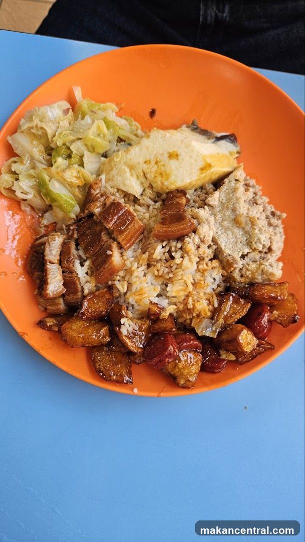 Plate of food with rice and various toppings