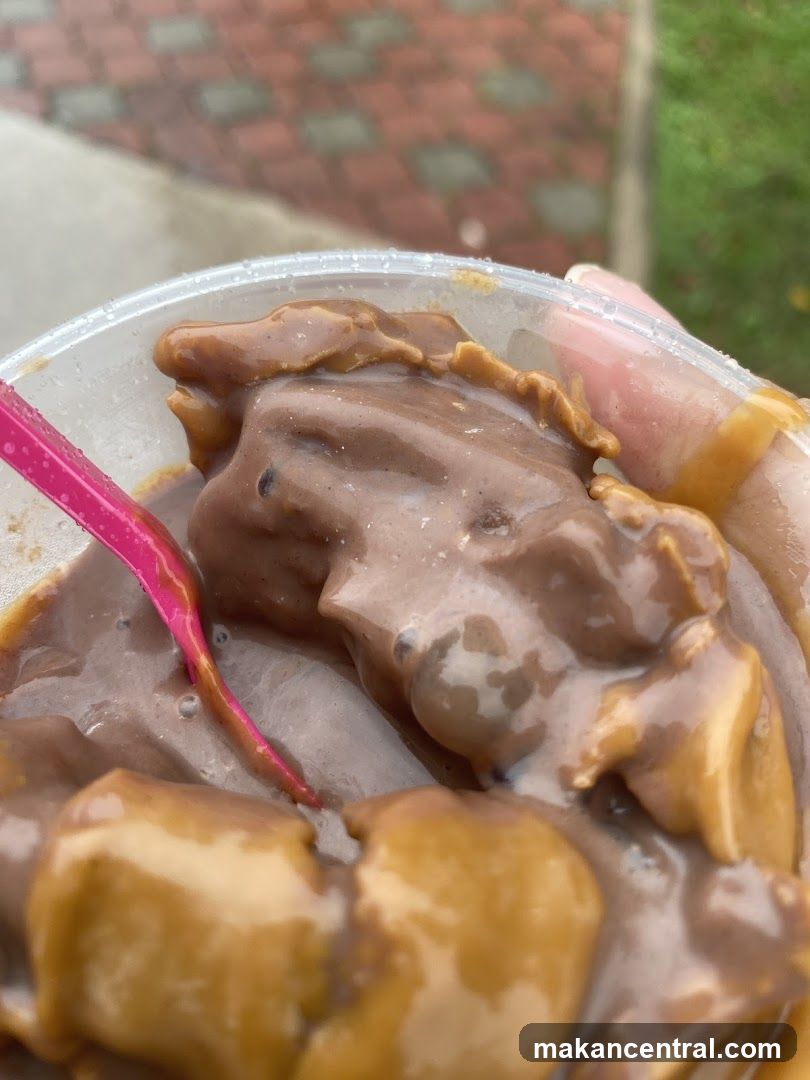 Chocolate Ice Cream with Caramel Swirls