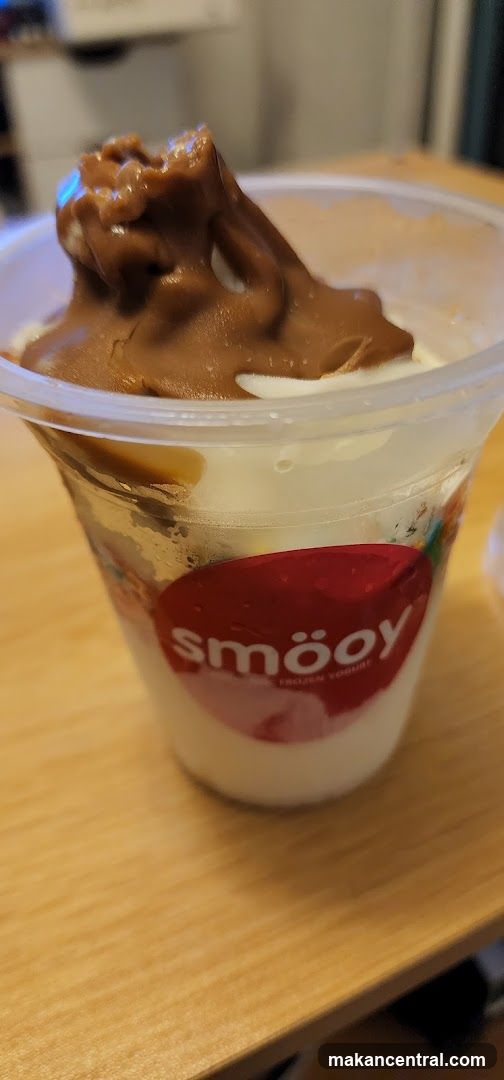 Frozen Yogurt with Chocolate Topping