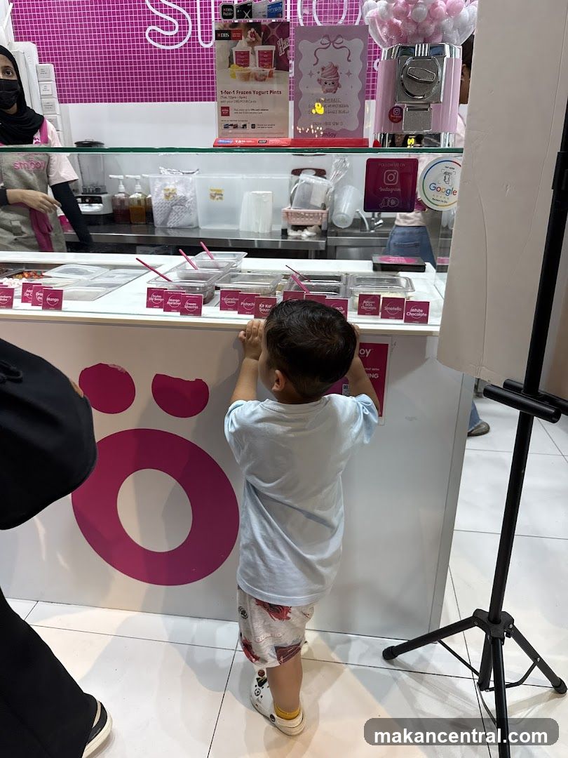 Frozen Yogurt Toppings Bar