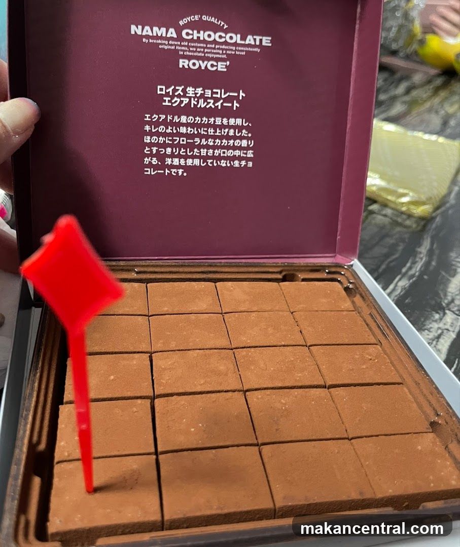 Royce' Nama Chocolate