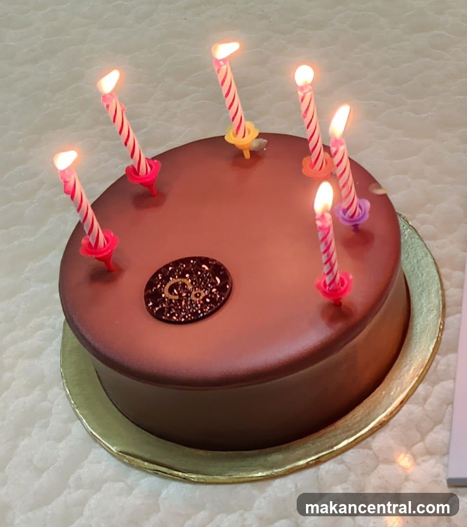 Chocolate cake with lit candles